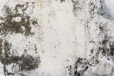 Commercial Concrete Finishing in Denver, CO