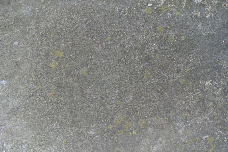 Concrete Staining Service in Denver, CO