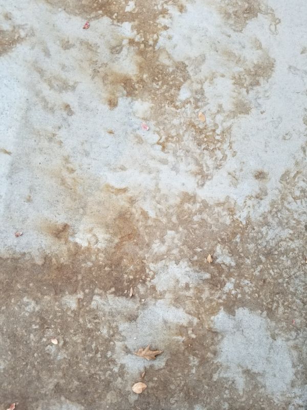 Stained Concrete Installation in Aurora, CO