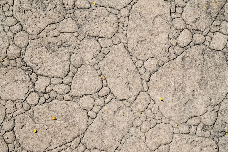 Stamped Concrete Replacement in Golden, CO